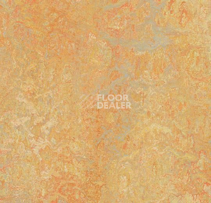 Линолеум Forbo Marmoleum Marbled Vivace 3411-341135 sunny day фото 1 | FLOORDEALER
